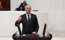 CHP Milletvekili Kayıhan Pala, Bakan Özhaseki’ye Ekolojik Risk Değerlendirmesi ve Siyanürle Altın Çıkartılan Madenler Hakkında Sorular Yöneltti